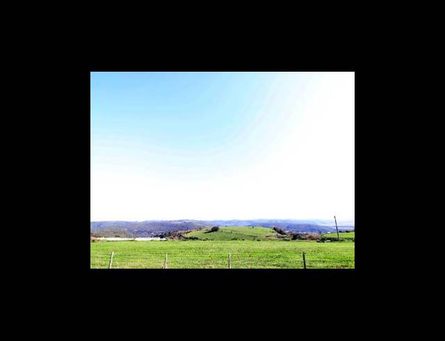 473HA FARM FOR SALE IN EAST LONDON RURAL